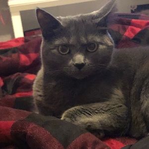 Meet your Posher, Tara